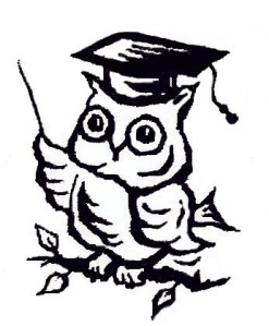 Bird that often represents wisdom: The Owl!